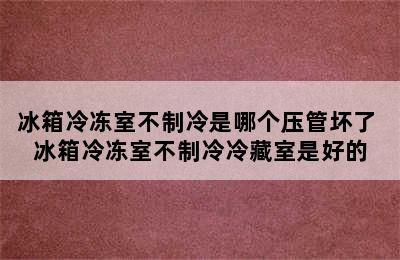 冰箱冷冻室不制冷是哪个压管坏了 冰箱冷冻室不制冷冷藏室是好的